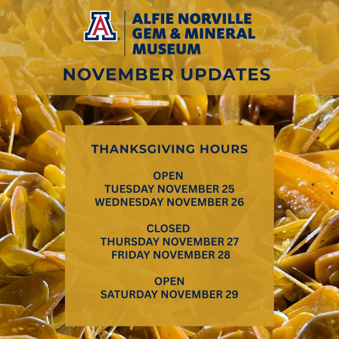 For the week of Thanksgiving, we will be open on Tuesday November 25, Wednesday November 26, and Saturday November 29.  In observation of the holiday, we will be closed Thursday November 27 and Friday November 28.